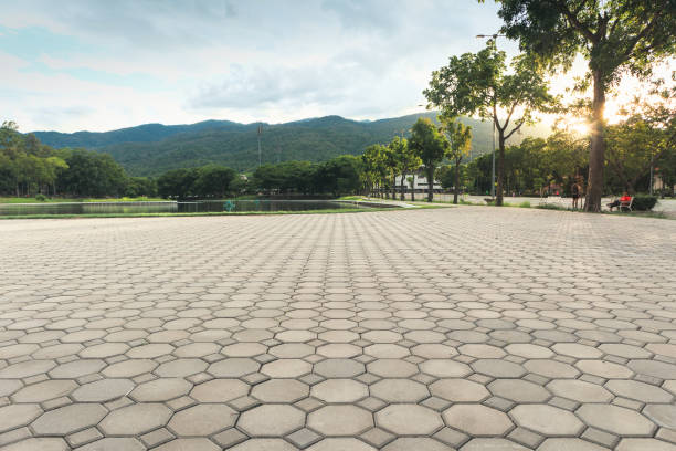 Best Residential Driveway Paver Services  in Valrico, FL
